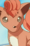 Rokon