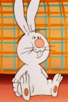 Benny Bunny
