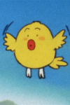 Pipiru