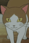 Neko no Miko