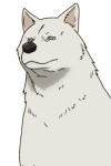 Inu