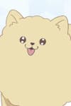 Ponta